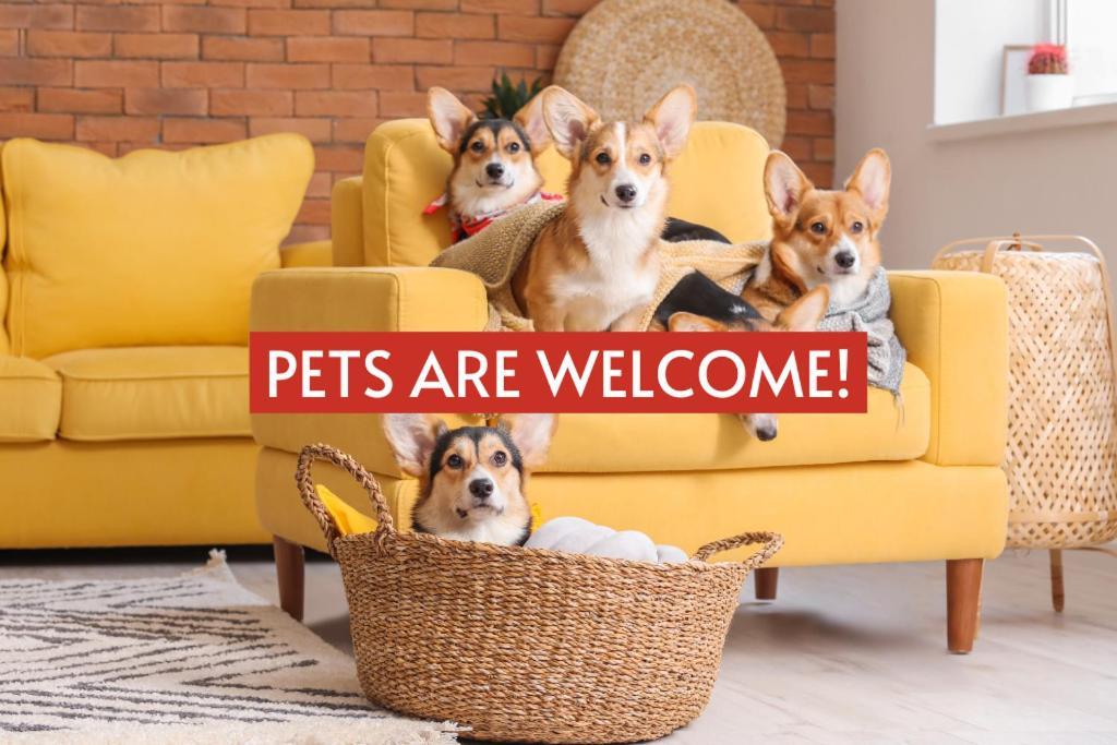 Pet Friendly! Hot Tub, 2Mins From Main, Fire Pit Villa Фредериксбург Екстериор снимка